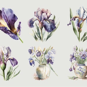May include: Six watercolor paintings of purple and white iris flowers. Some of the irises are in vases, while others are shown individually.