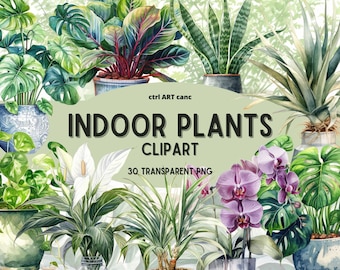 Indoor Plants Clipart: 30 Green PNG Images (Digital Download)