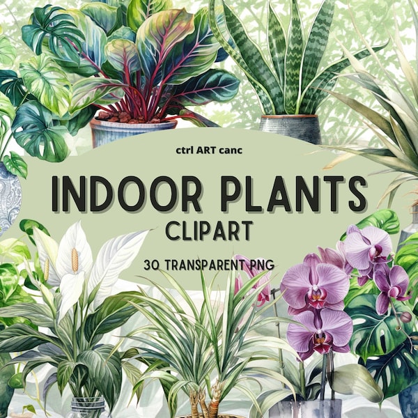 Indoor Plants Clipart, Houseplants Clipart, Home Decor Clipart, Green Clipart, Nature Clipart, Transparent PNG, Junk Journal, PNG Bundle