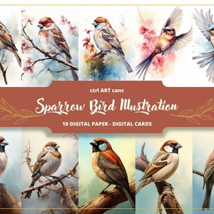 Ilustraciones de gorriones, papel digital, impresiones de aves, decoraciones de aves, imágenes de aves, dibujos de aves, regalo de aves, papel de diario, papel de elaboración