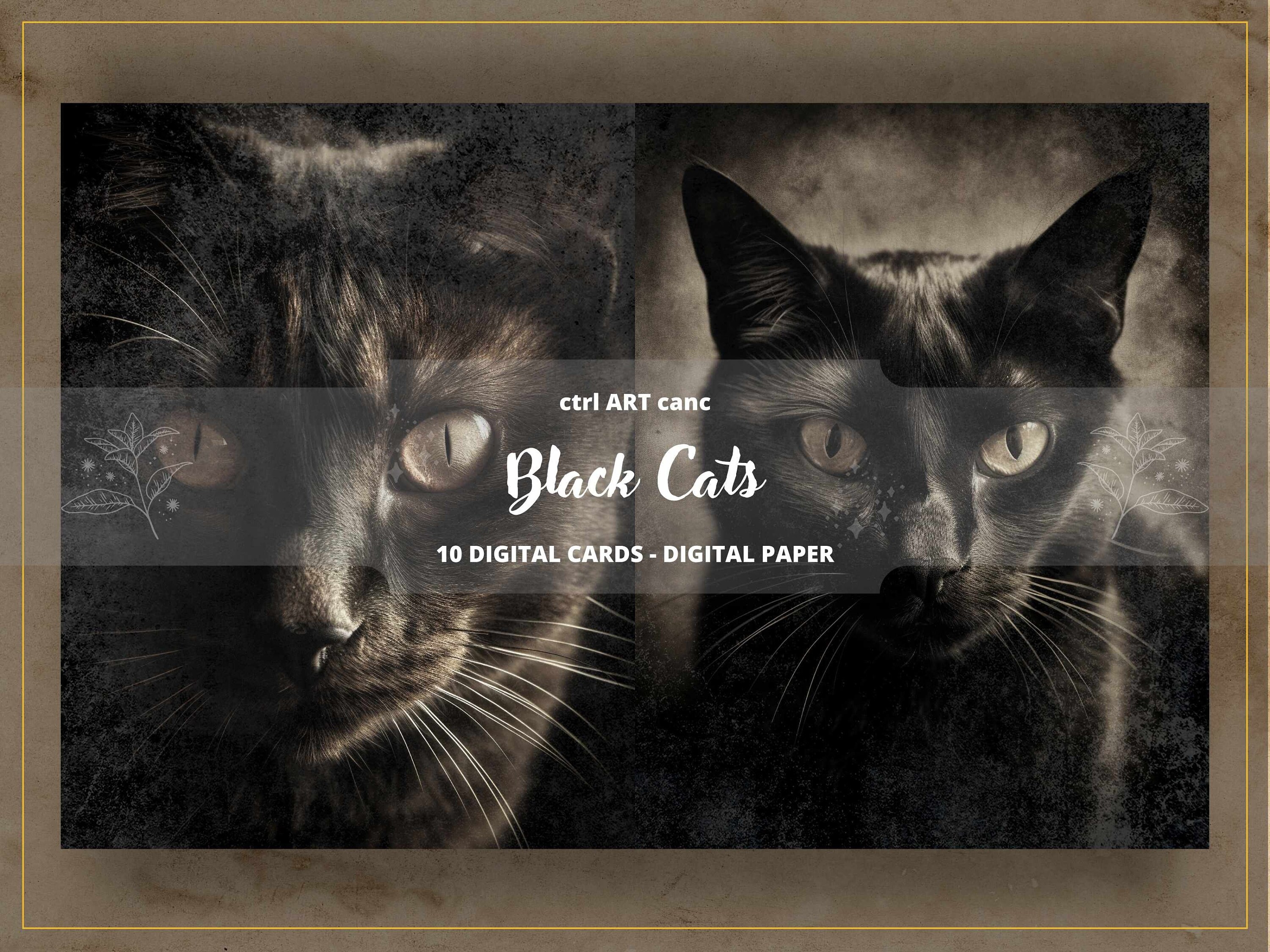 10 Black Cats Printable, Vintage Cats, Cats Vintage Photos