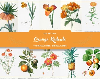 Könnte beinhalten: Zehn digitale Papiere mit botanischen Illustrationen von orangefarbenen Blumen, Früchten und Pflanzen im Vintage-Stil. Die Illustrationen sind im klassischen Stil gehalten und zeigen detaillierte Zeichnungen der Pflanzen und Blumen. Die Papiere eignen sich perfekt für Scrapbooking, Kartenherstellung und andere Bastelprojekte.