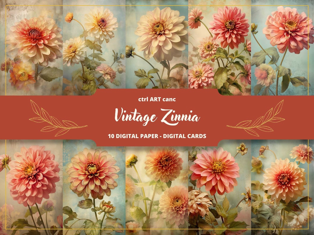Vintage Zinnia Printable, Zinnia Digital Paper, Romantic Decor, Journal
