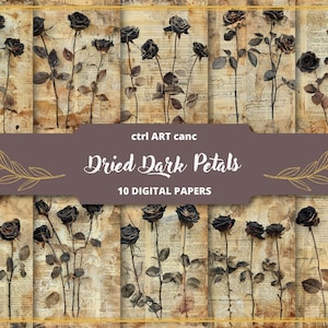 Papel de rosas negras secas Papel viejo Diario basura vintage Flores vintage Álbum de recortes Kit vintage Decoración vintage para fondo de páginas de diario basura