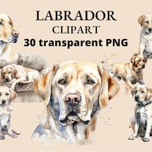 30 Labrador Clip Art, Watercolor, Labrador PNG, Dog Clipart, Watercolor Dog, Junk Journal, Collage, PNG Dogs, Clipart, Scrapbook, Puppy PNG