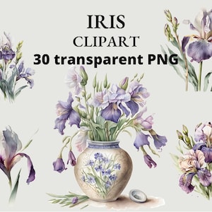 30 Iris Clip Art, Flowers, Watercolor Irises, Flower Decoration, Flower PNG, PNG, Clipart, transparent PNG, Clip Art