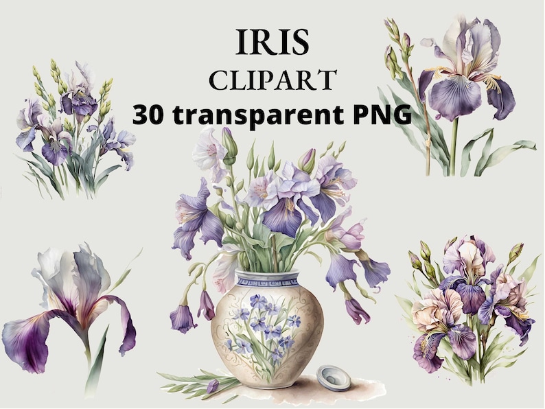 May include: A bouquet of purple and white irises in a decorative vase with a floral pattern. The vase is on a light gray background.  The irises are watercolor illustrations.
