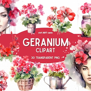 Clipart geranio, clipart floreale, clipart floreale rosso, bellissima clipart, clipart decorazione floreale, diario spazzatura, pacchetto PNG, arte digitale