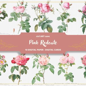 Pink Botanical Illustration Pierre-Joseph Redouté Illustration Floral Illustration Floral Art Floral Wall Art Botanical Vintage Illustration