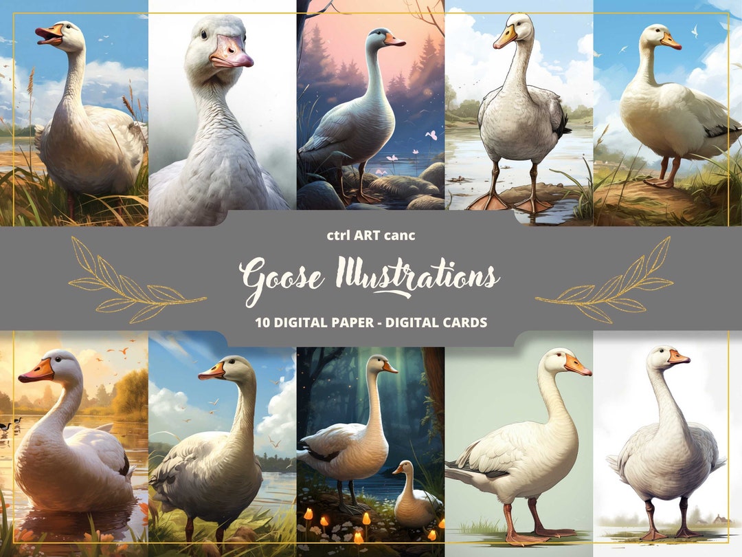 Goose Illustrations Digital Paper: Bird Prints for Journaling (digital ...