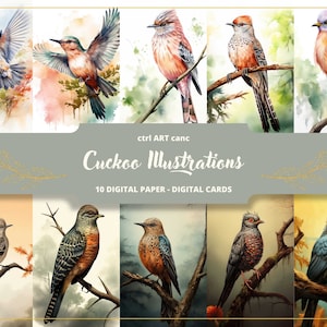 Kuckuck Illustrationen Digitales Papier, Vogeldrucke, Vogeldekorationen, Vogelbilder, Vogelzeichnungen, Vogelgeschenk, Journalpapier, Bastelpapier