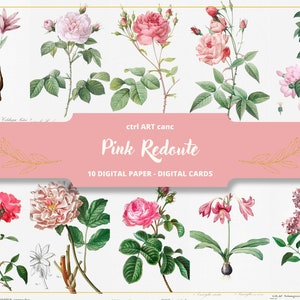 Pink Botanical Illustration Pierre-Joseph Redouté Illustration Floral Illustration Floral Art Floral Wall Art Botanical Vintage Illustration