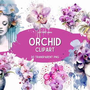 Orchid Clipart, Floral Clipart, Orchids, Elegant Floral Clipart, Chic Clipart, Floral Decor Clipart, Junk Journal, PNG Bundle, Digital Art