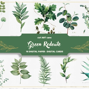 Illustration botanique verte Illustration Pierre-Joseph Redouté Illustration florale Art floral Art mural Illustration botanique vintage