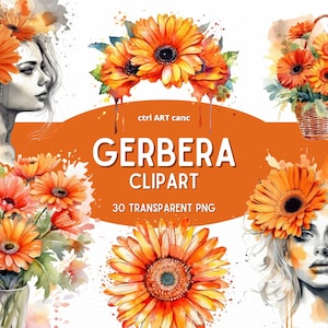 Clipart de gerbera, clipart floral, gerbera, clipart de margarida, clipart chique, clipart de decoração floral, Junk Journal, pacote PNG, arte digital