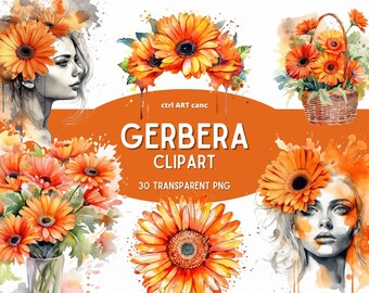 Gerbera Clipart: 30 Floral PNG Bundle (Digital Download)