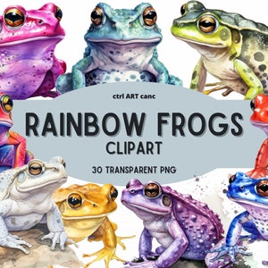 Clipart grenouilles arc-en-ciel, Clipart grenouilles, crapaud Clipart, Clipart Animal, Clipart coloré, Clipart arc-en-ciel, Junk Journal, PNG Bundle