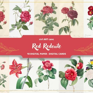 Red Botanical Illustration Pierre-Joseph Redouté Illustration Floral Illustration Floral Art Floral Wall Art Botanical Vintage Illustration