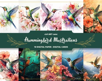 Hummingbird Illustrations Digital Paper: Bird Prints (Digital Download)