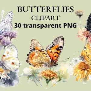 30 papillons Clip Art, aquarelle, PNG papillon, délicat, dessin de fleurs, Junk Journal, Collage, papillons PNG, Clipart, scrapbooking