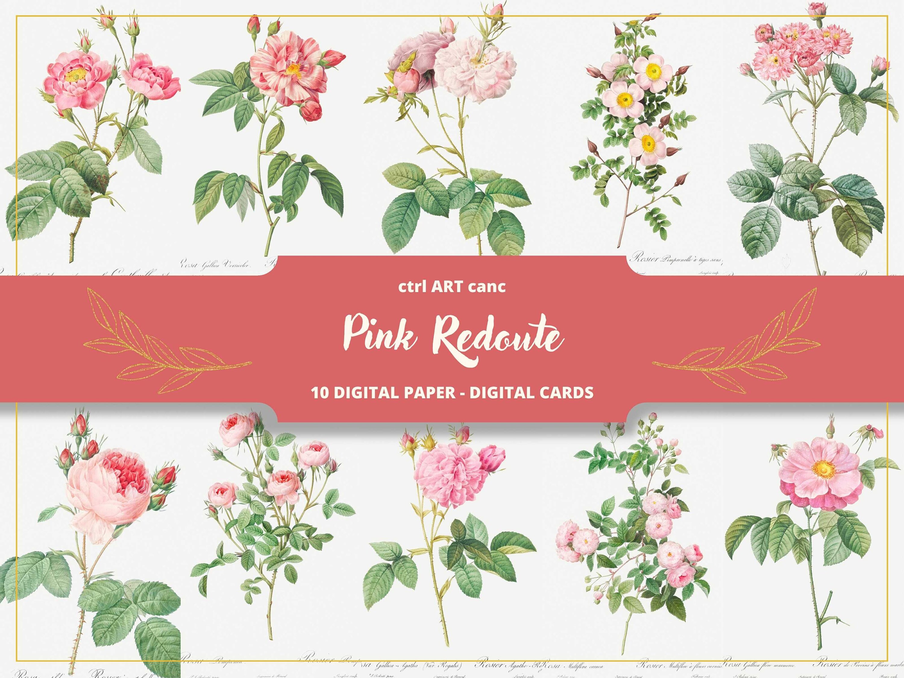 Rose Wrapping Paper Craft Paper According to Redoute as Individual or as a  Set of 10 Identical Patterns 