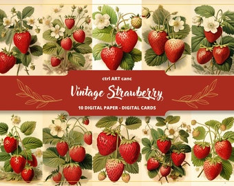 Vintage Strawberry Illustration: Kitchen Wall Art (Digital Download)