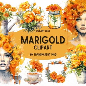 Marigold Clipart, Floral Clipart, Orange Floral Clipart, Beautiful Clipart, Floral Decor Clipart, Junk Journal, PNG Bundle, Digital Art