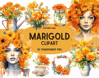 Marigold Clipart, Floral Clipart, Orange Floral Clipart, Beautiful Clipart, Floral Decor Clipart, Junk Journal, PNG Bundle, Digital Art
