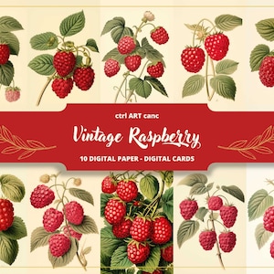 Himbeer-Wandkunst, Obstkunst, rote Farbkunst, Vintage-Kunst, Küchenwandkunst für die Küche, Obstwandkunst, Himbeerdruckbare Wandkunst für die Küche