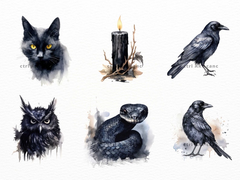 K&ouml;nnte beinhalten: Aquarellmalerei von sechs schwarzen Objekten: einer Katze, einer Kerze, einem Raben, einer Eule, einer Schlange und einem Raben. Die Objekte sind in einem realistischen Stil mit einem weichen Aquarelleffekt gemalt.