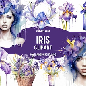 Imágenes prediseñadas de iris, imágenes prediseñadas florales, imágenes prediseñadas florales púrpuras, imágenes prediseñadas hermosas, imágenes prediseñadas de decoración floral, diario basura, paquete PNG, arte digital