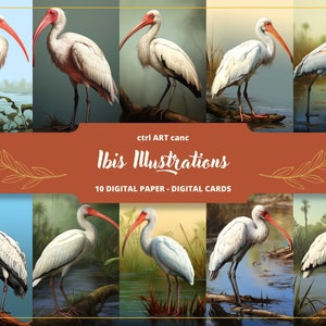 Ibis Illustrationen Digitales Papier, Vogel Drucke, Vogel Dekoration, Vogelbilder, Vogel Zeichnungen, Vogel Geschenk, Journaling Papier, Bastelpapier