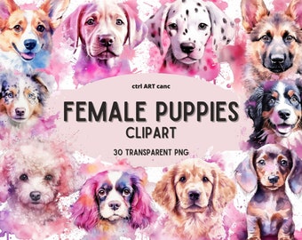 Aquarell Welpe Clipart: Hunderasse PNG-Bilder (digitaler Download)