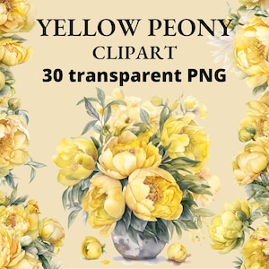 30 gele pioen clipart, aquarel gele pioenroos, pioenrozen clipart, bloem clipart, geel, bloem PNG, ongewenste dagboek, transparante PNG