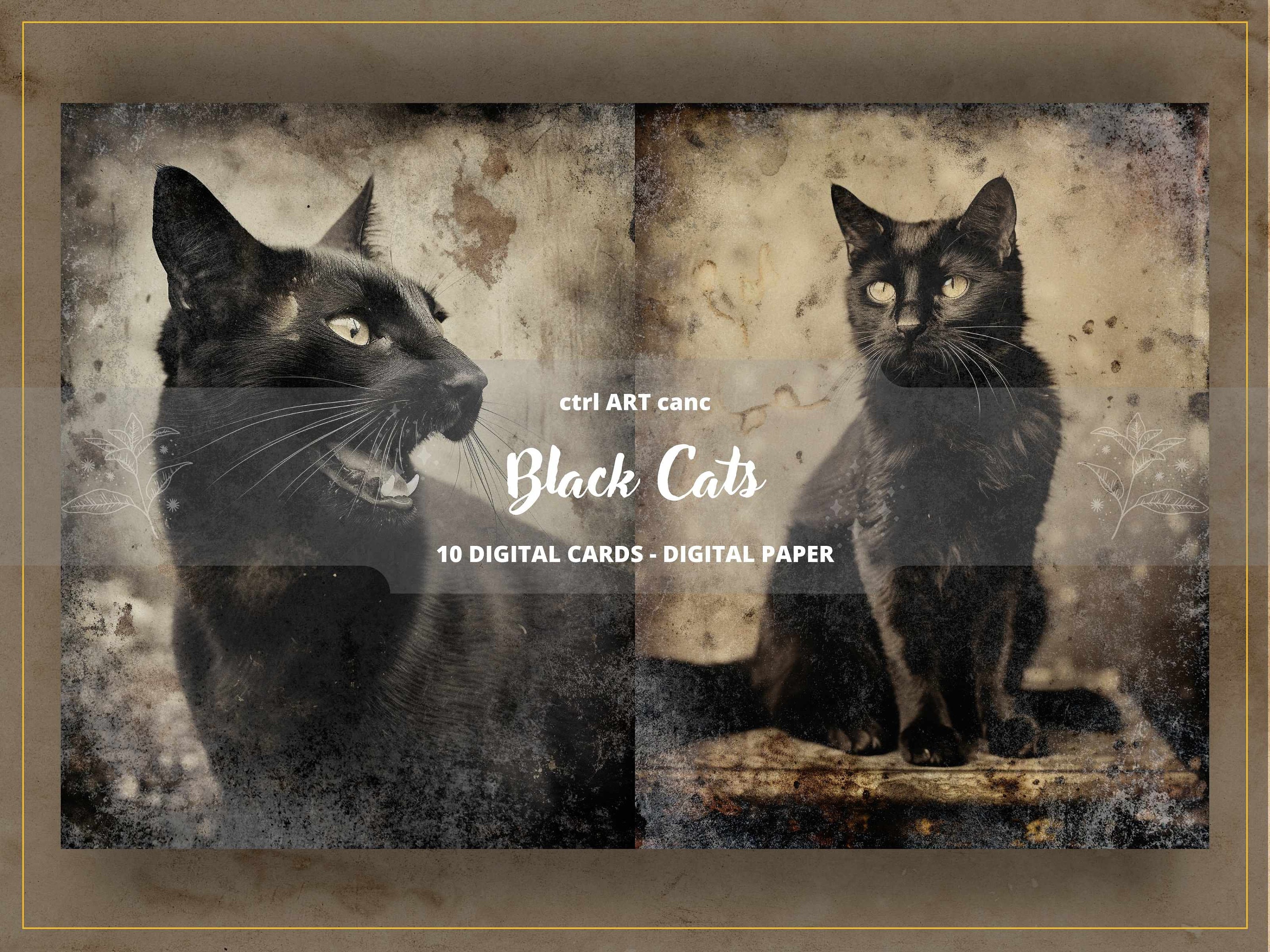 10 Black Cats Printable, Vintage Cats, Cats Vintage Photos