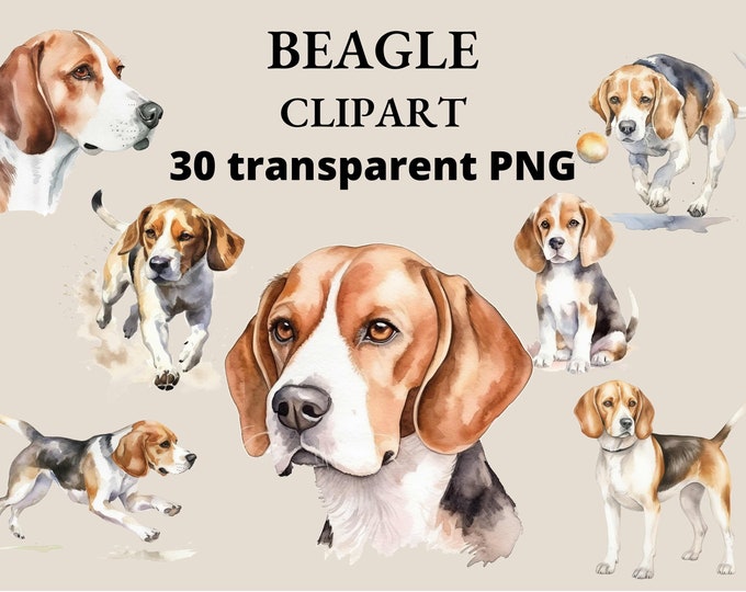 Beagles - Etsy