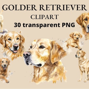 30 Clip Art de Golden Retriever, Aquarela, PNG, Clipart de Cachorro, Cachorro Aquarela, Junk Journal, Colagem, Cães PNG, Clipart, Álbum de recortes, Cachorro PNG