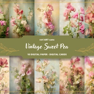 Ervilha doce vintage para impressão, papel de ervilha doce, decoração romântica, kit de diário, páginas de diário, álbum de recortes, suprimentos de diário lixo, coisas efêmeras