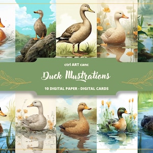 Ilustraciones De Patos Papel Digital, Impresiones De Aves, Decoraciones De Aves, Imágenes De Aves, Dibujos De Aves, Regalo De Aves, Papel De Diario, Papel De Elaboración