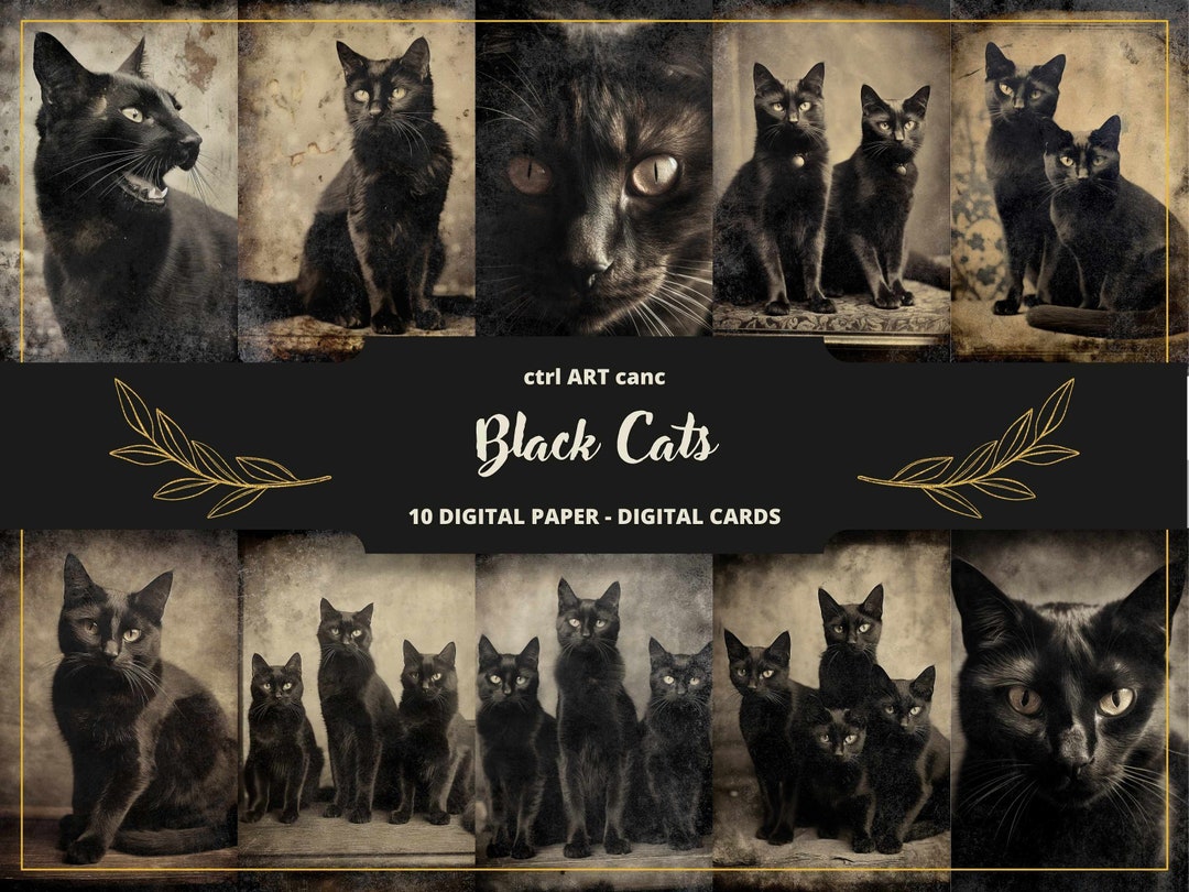 Society6 ケース Black Cat by Leah Reena Goren leah reena goren's Store | Society6