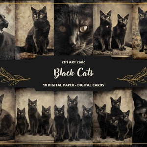 10 schwarze Katzen zum Ausdrucken, Vintage Katzen, Katzen Vintage Fotos, schwarze Katzen, antike Bilder, digitales Papier, Scrapbooking, Junk Journal Kit