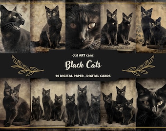 HARAJUKU BIBLE ～BLACK CATS Early Times …