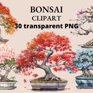 30 Bonsai Clipart, Aquarela Bonsai, Pequena Árvore, Clipart Japonês, Bonsai PNG, Junk Journal, PNG transparente, Pacote PNG