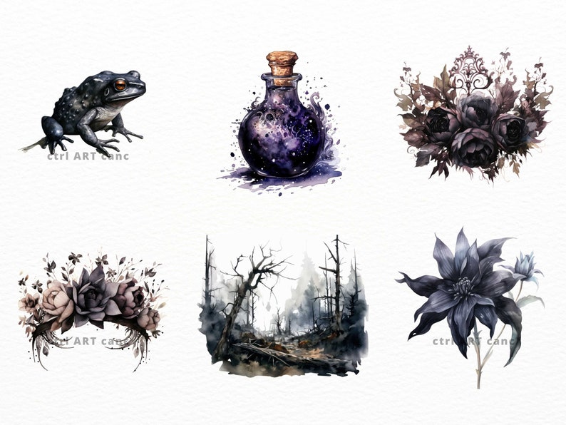 K&ouml;nnte beinhalten: Ein Aquarell-Illustrationsset mit einem schwarzen Frosch, einer lilafarbigen Zaubertrankflasche, einem Strau&szlig; schwarzer Rosen, einer dunklen Waldszene und einer schwarzen Blume.
