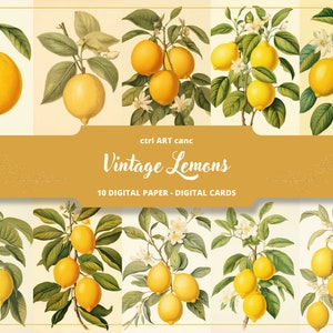 Limón Vintage Papel Amarillo Limón Pared Arte Imprimible Arte de la pared Limón Cocina Arte de la pared para la cocina Arte de la fruta para la cocina Descarga instantánea