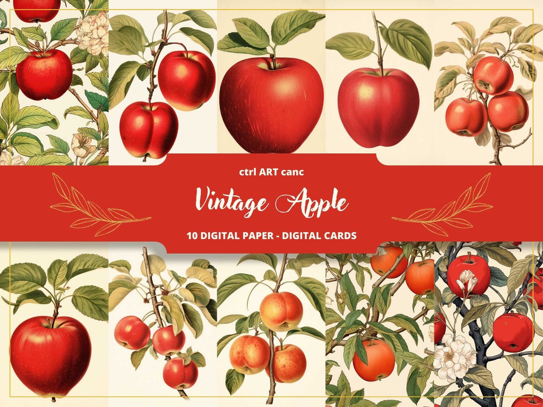 Apple Wall Art Fruit Art Red Color Art Vintage Art Kitchen Wall Art for
