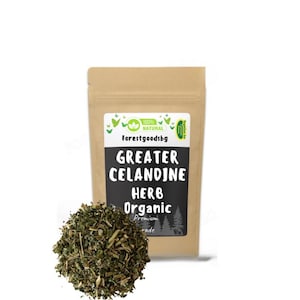 Organisk svalört, Chelidonium majus, örtte, torkad ört för te och infusioner, naturmedel