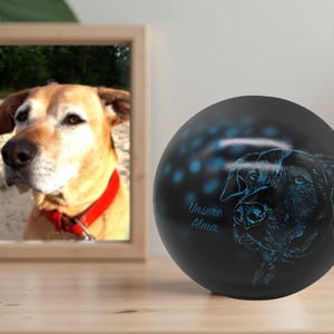 Personalized dog urn with your dog Pet urns for dogs