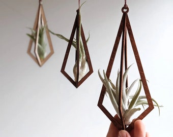 Air Plants - Diamond Air Plant Hanger