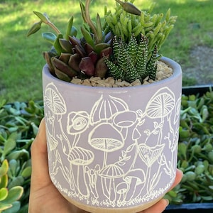 TRENDY Mushroom Forest Terracotta Pot - Unique Glazed Terracotta Planters